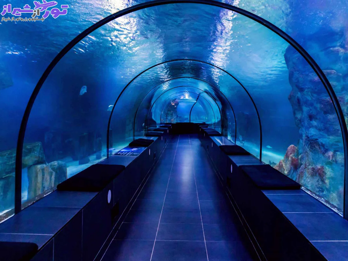 آکواریوم استانبول مجموعه‌ای از زیبایی‌های زیر آب
